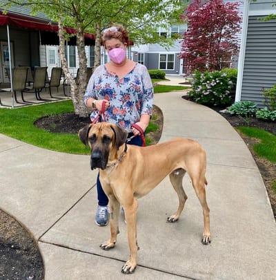 The Inn at Fairview, nursing home in Hudson, NH — Woman wearing a mask walking a large dog outdoors