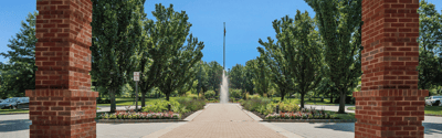 Pathway with trees and fountain in a landscaped area