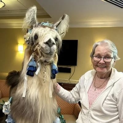 A resident posing with a decorated llama in a common area