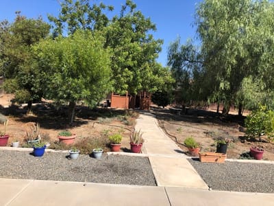 A peaceful garden path with potted plants