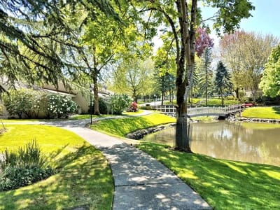 Lush green pathway with a small pond and bridge