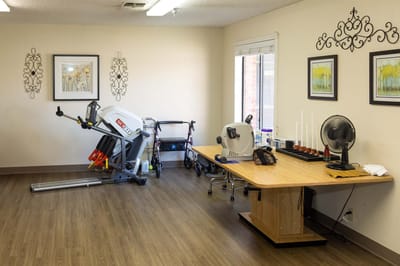 Therapy equipment in a bright exercise room