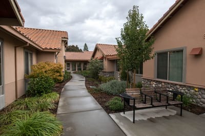 Pathway through a landscaped outdoor space