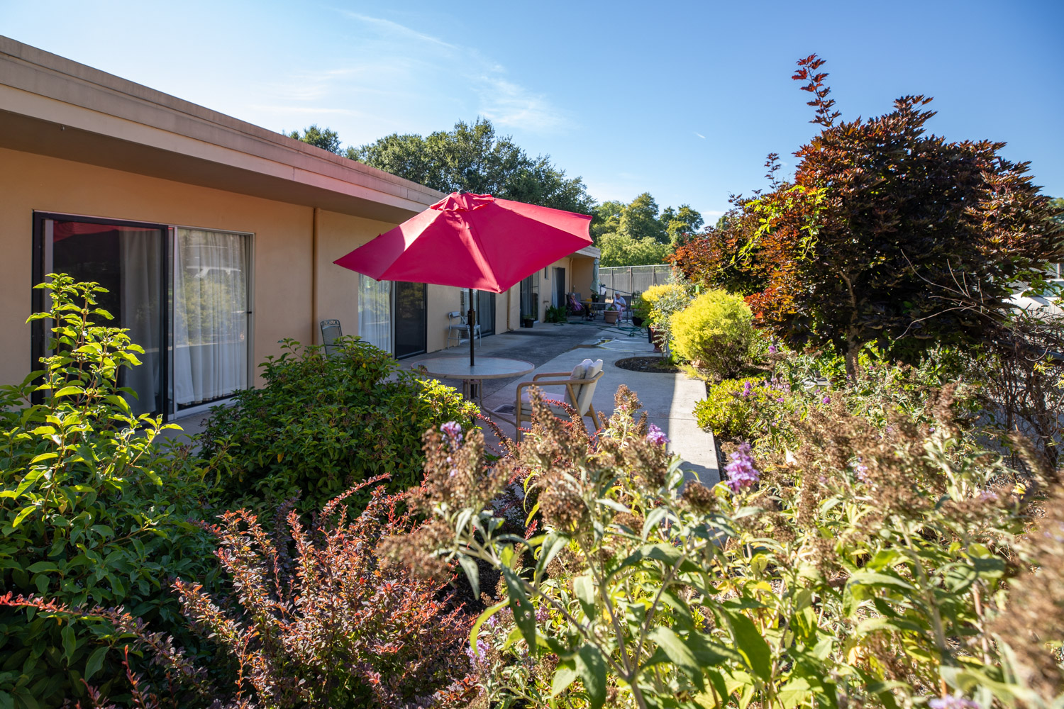 Outdoor space with colorful umbrella and garden