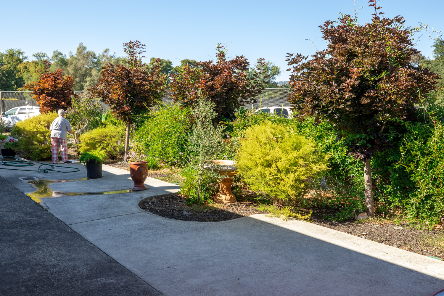 Resident tending to a garden in an outdoor space