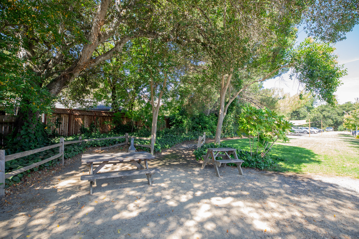 Shady outdoor picnic area with tables and greenery