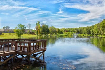 Scenic view of a pond with a wooden dock
