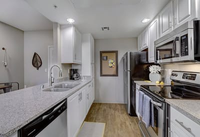 Bright, modern senior apartment kitchen with appliances