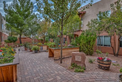 Beautiful garden area with pathways and greenery