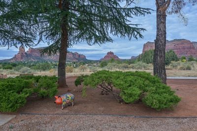 Outdoor space with desert landscape and a decorative pig