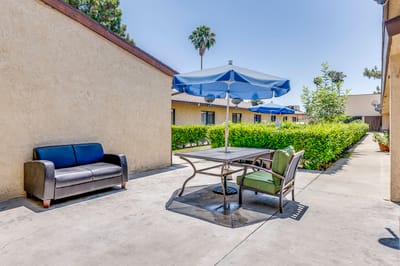 Outdoor seating area with umbrellas and plants
