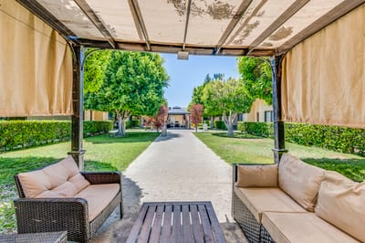 Pathway leading to the building from a shaded seating area