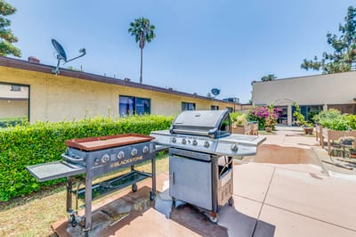 Outdoor barbecue area with grills and palm trees