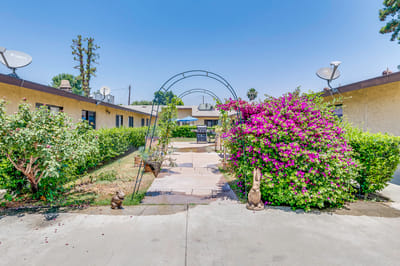 A garden area with colorful flowers and an archway