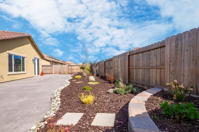 Well-maintained outdoor garden area