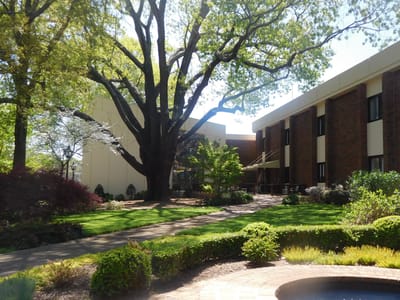 Spacious outdoor area with trees and pathways