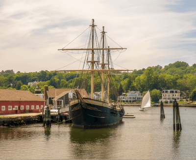 A tall ship docked near buildings and greenery.