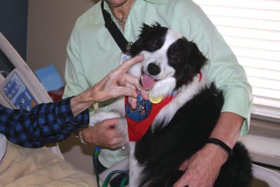 Therapy dog interacting with a resident and staff