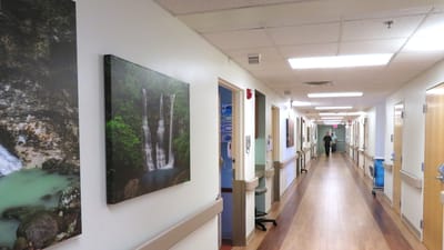 A corridor in the facility with artwork on the walls