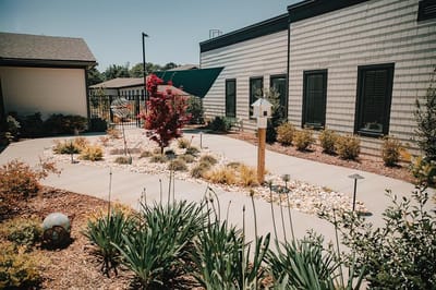 Well-maintained garden courtyard with colorful plants