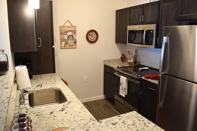 Well-equipped kitchen in a modern apartment