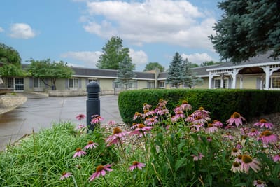Flower garden in an outdoor space at the facility