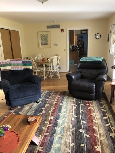 Cozy living room with armchairs and dining area