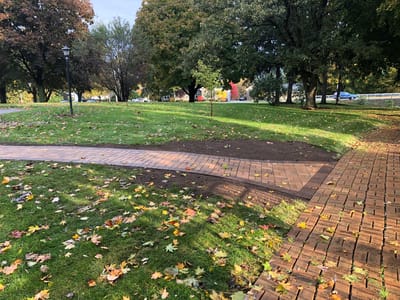Walkway in a landscaped outdoor area with autumn leaves