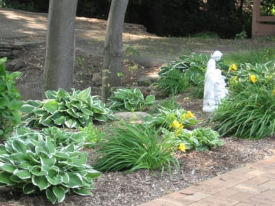 Garden area with plants and a statue.