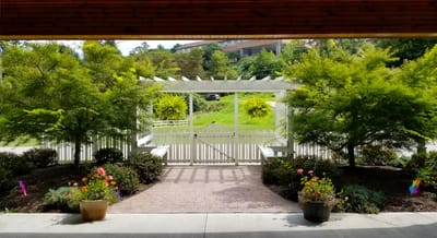 Well-maintained outdoor garden pathway