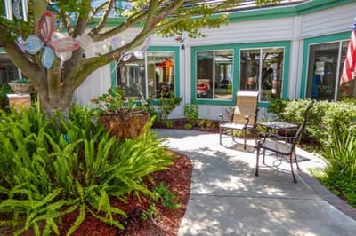 Outdoor seating area with greenery and chairs
