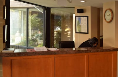 Reception area with staff member at the desk
