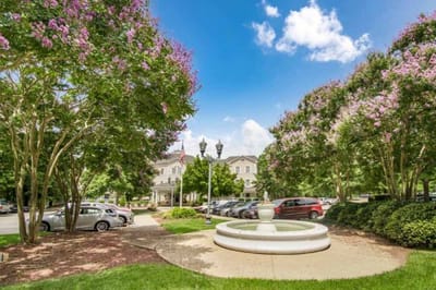A landscaped outdoor space with a fountain and flowering trees.