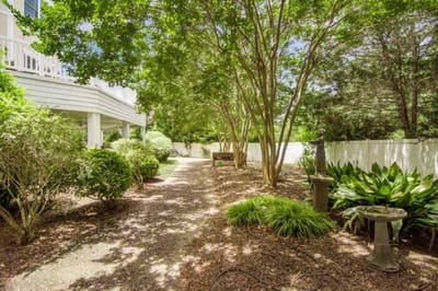 Lush outdoor garden space with trees and pathways