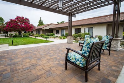 Outdoor patio area with chairs and flowering tree