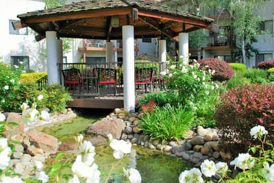 A serene garden with a gazebo and blooming flowers