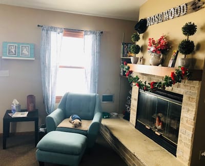 Cozy living room with a fireplace and a dog resting