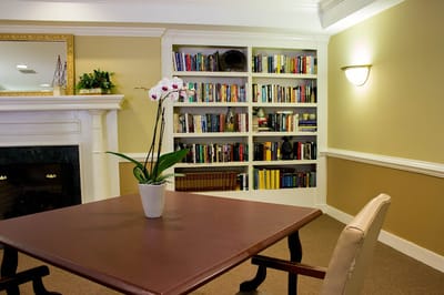 Cozy reading area with a bookshelf and orchid plant