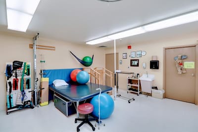 Indoor therapy room equipped with exercise balls and a therapy table