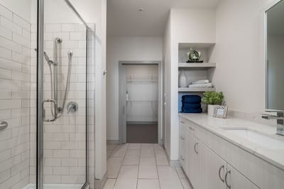 Bright interior of a bathroom with shower and storage