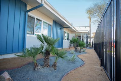 Outdoor landscaped area with palm trees