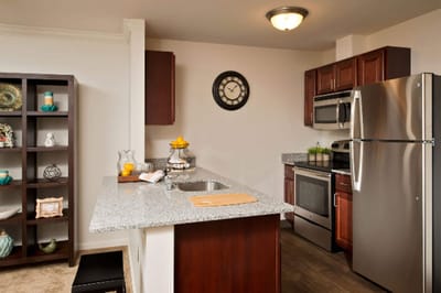 Modern kitchen in a senior living apartment