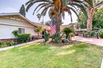 Outdoor view of a garden with a flag and palm trees