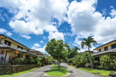 Lush outdoor space with residential buildings and blue sky