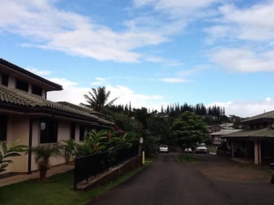 Pathway and buildings in a residential area