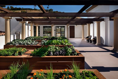 Outdoor garden area with raised plant beds