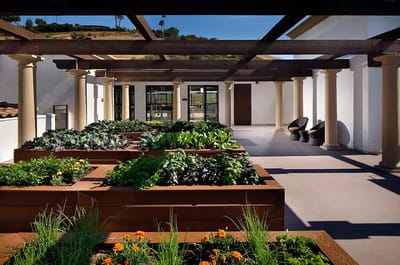 Raised garden beds in an outdoor space