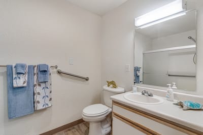 Well-lit bathroom with grab bars and towels