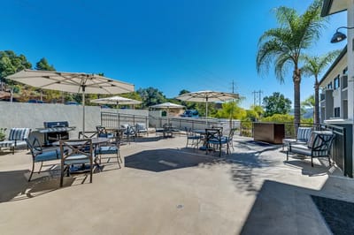 Outdoor seating area with umbrellas and palm trees