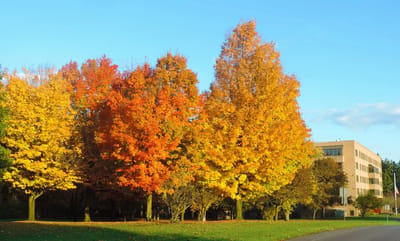 Building exterior surrounded by colorful autumn trees
